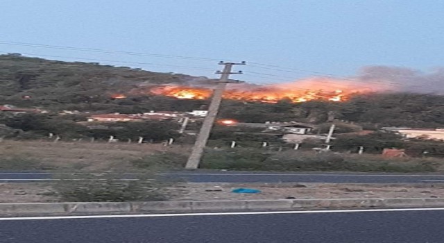 Ulada orman yangını çıktı