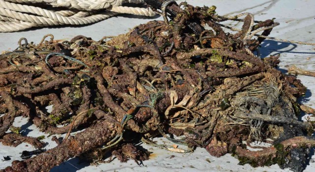 Urlada denizin dibindeki hayalet ağlar ve atıklar temizlendi