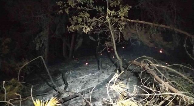 Uşakta çıkan orman yangını kontrol altına alındı