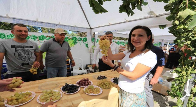 Üzüme dair her şey bu şenlikte