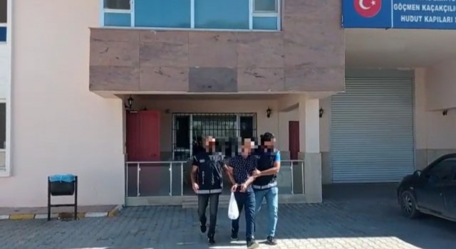 Vanda 3 göçmen organizatörü tutuklandı