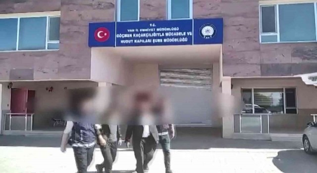 Vanda 5 organizatör tutuklandı