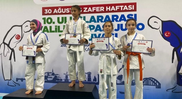 Vanlı judocular Sakaryadan 2 birincilikle döndü