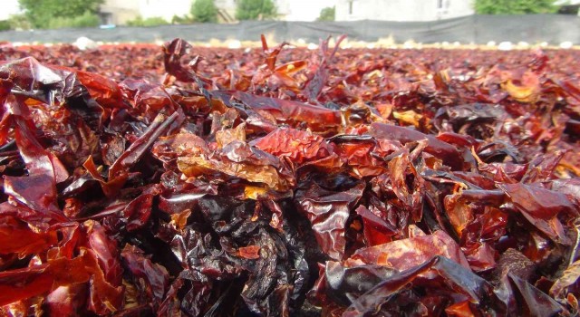 Vazgeçilmez baharat Urfa isotu