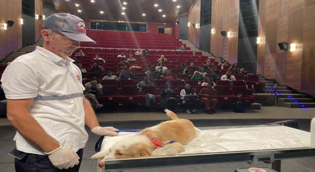 Veteriner hekimlerinden uygulamalı ‘Sokak Hayvanları Koruma Görevlisi eğitimi