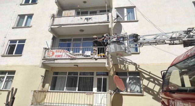 Vicdansızlığın böylesi; köpeği açlığa mahkum ettiler