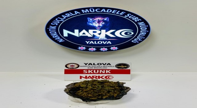 Yalovada 2 günde 11 zehir taciri tutuklandı