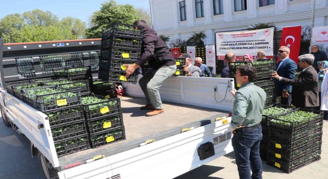 Yalovalı çiftçilere 6 milyon TLlik kamu desteği