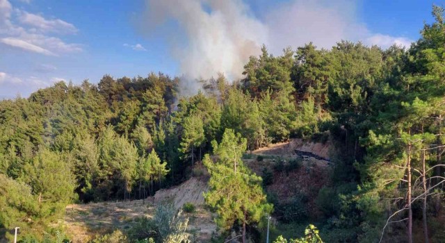 Yerleşim alanlarını tehdit eden orman yangını söndürüldü