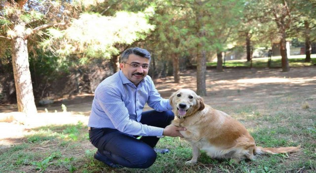 Yıldırımda 27 bin sokak hayvanı tedavi edildi