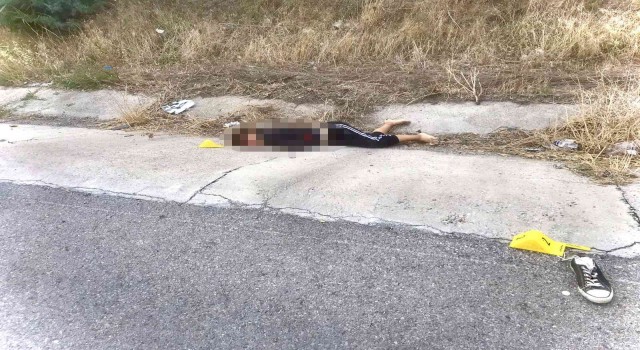 Yol kenarında kadın cesedi bulundu