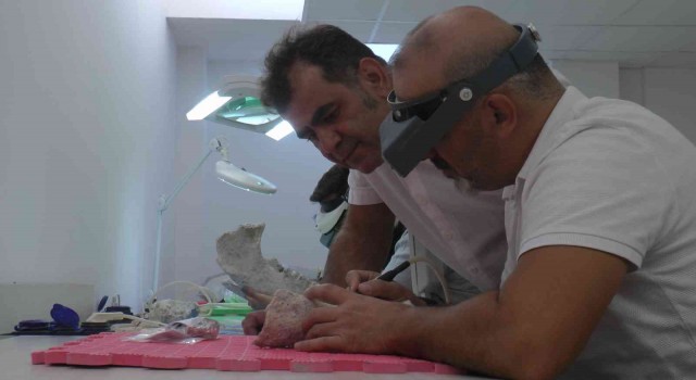 Yol yapımı sırasında tesadüfen ortaya çıktı, 7 buçuk milyon yıllık fosiller bulundu