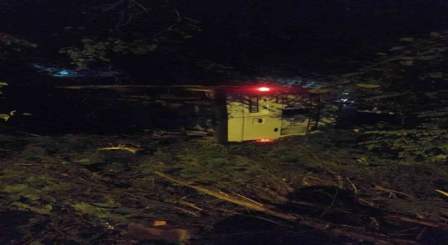 Yoldan çıkan minibüs ormanlık alana uçtu