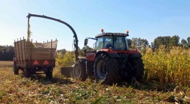 Yozgatta besicilerin kışlık yem mesaisi başladı