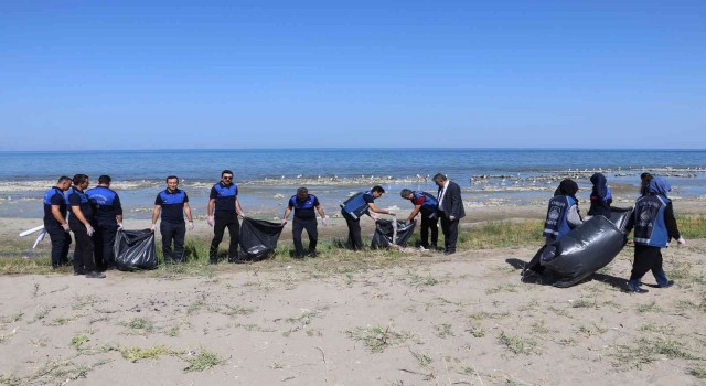 Zabıta ekipleri, Van Gölü sahilinde temizlik çalışması yaptı