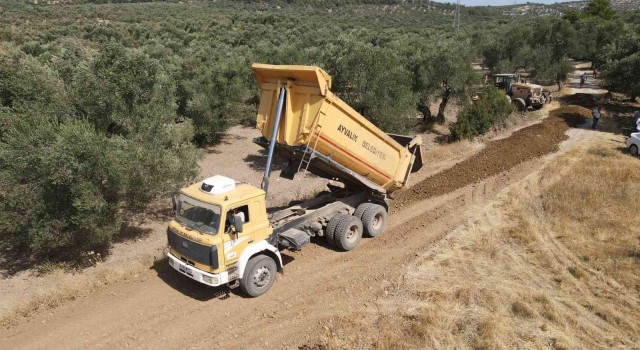 Zeytinlikler arası yollar hasada hazır