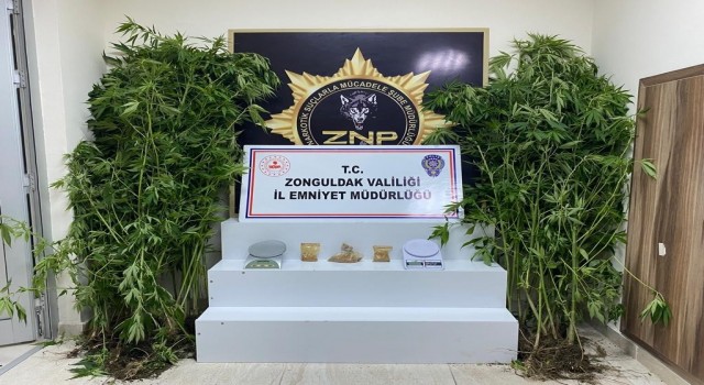 Zonguldakta son 3 ayda 30 zehir taciri tutuklandı