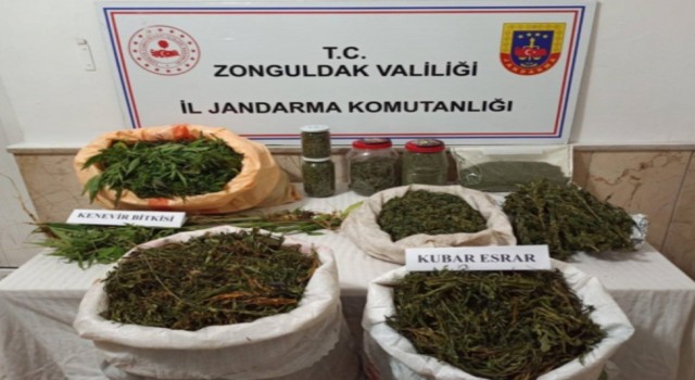 Zonguldakta uyuşturucu operasyonunda 1 tutuklama