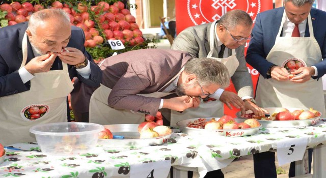 3. Geleneksel Nar Şenliğinde renkli görüntüler oluştu