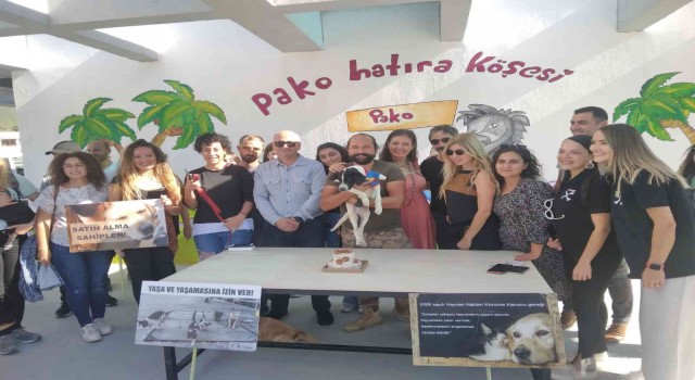 4 Ekim Hayvanları Koruma Günü Pakoda kutlandı