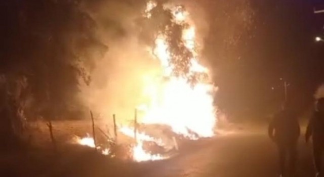 6 köyün zeytinliğini yaktı, köylüler nöbete durdu