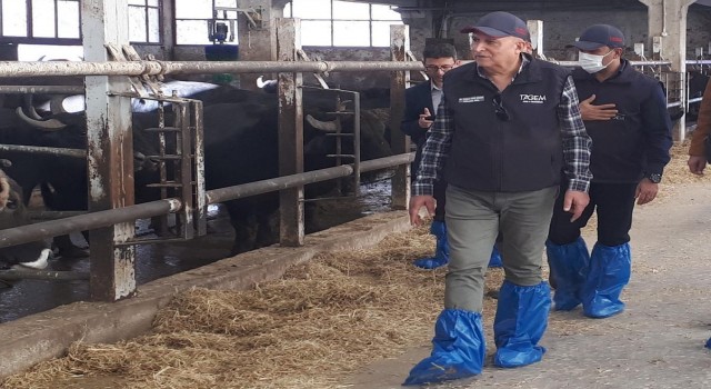 Afyonkarahisardaki mandacılık işletmeleri incelendi