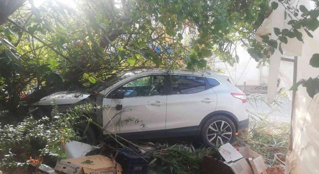 Ağaca çarpan otomobilin sürücüsü yaralandı