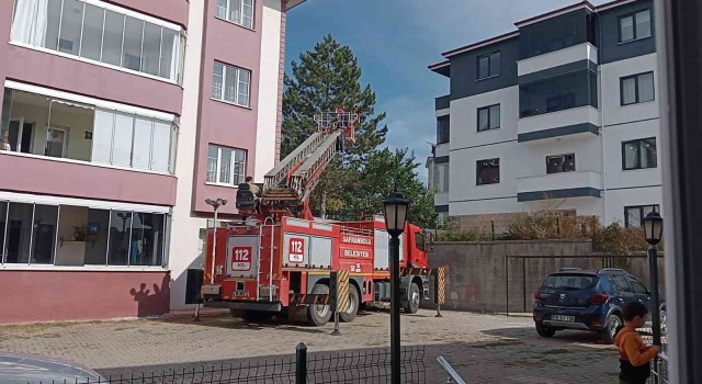 Ağaçta mahsur kalan kediyi itfaiye kurtardı