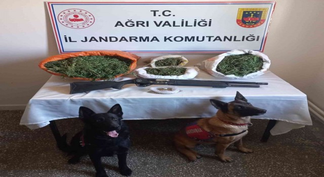 Ağrıda 15 kilo esrar ele geçirildi