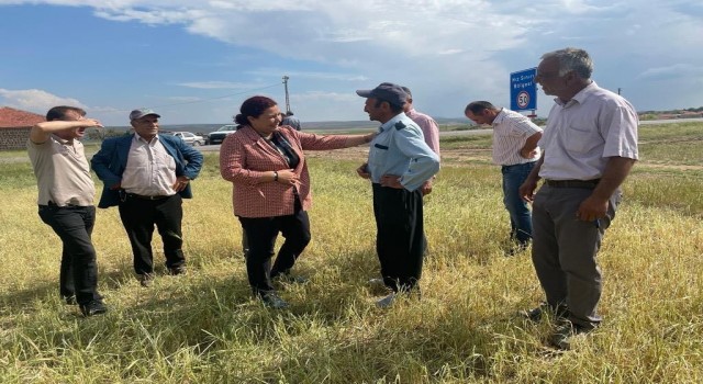 AK Partili Ünsal: “Yağışlarda zarar gören çiftçinin hesabına 4 milyon lira destek yatacak”