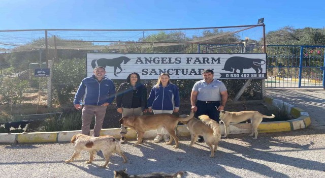 AKG Türkiye ve Angels Farm Sanctuary, doğal yaşam için el ele