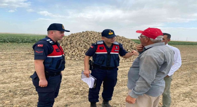 Aksaray jandarma hırsızlığa karşı tarım arazilerinde