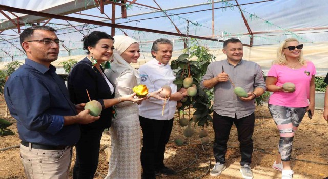 Alanyada tropikal hasat şöleni