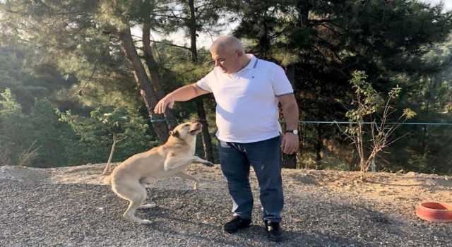 ALTSO Başkanı Şahinden otel atık yemeklerinden sokak hayvanları için mama projesi