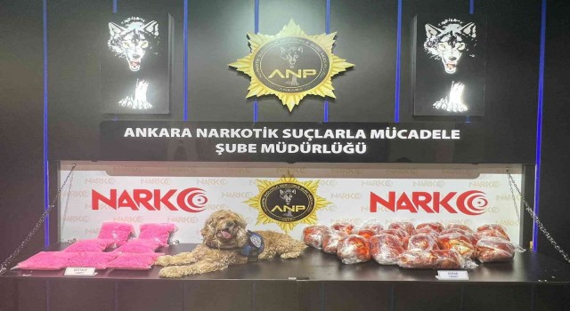 Ankara Narkotikten zehir tacirlerine geçit yok
