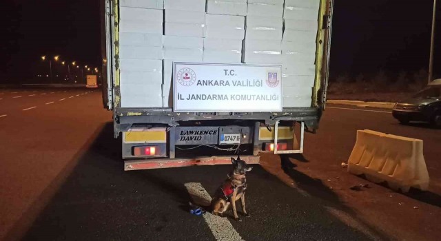 Ankarada 21 milyonu aşkın bandrolsüz makaron ele geçirildi