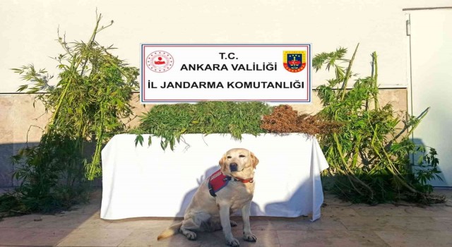 Ankarada uyuşturucu operasyonları: 6 gözaltı