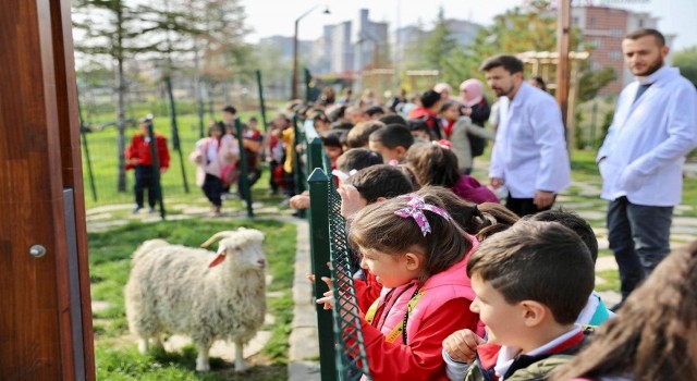Ankaralı öğrenciler Endemik Vadide buluştu