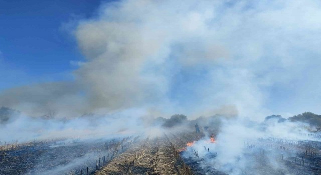Antalyada anız yangını itfaiye ekiplerine zor anlar yaşattı
