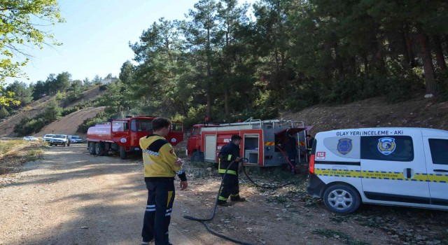Antalyada orman yangını büyümeden söndürüldü