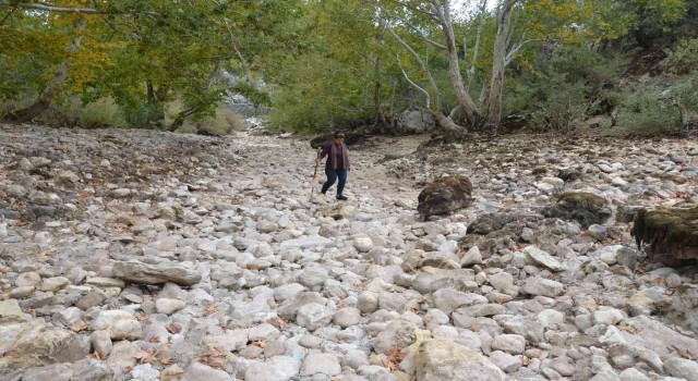 Antalyada Üzümdere Irmağı kurudu, yavru alabalıklar telef oldu