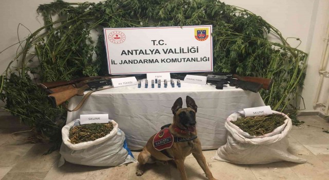 Antalyada zehir tacirlerine jandarmadan operasyon