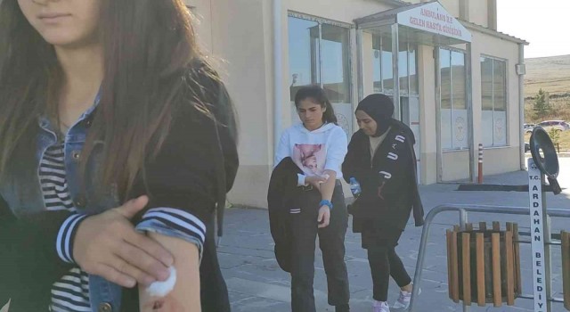 Ardahanda gıda zehirlenmesi: 25 öğrenci hastaneye kaldırıldı