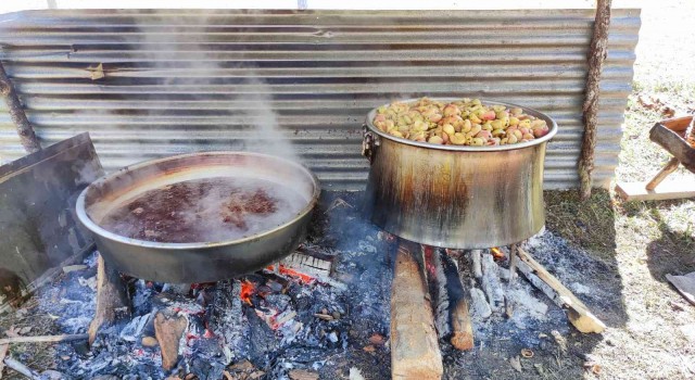 Artvinde elma pekmezi geleneksel yöntemlerle yapılıyor