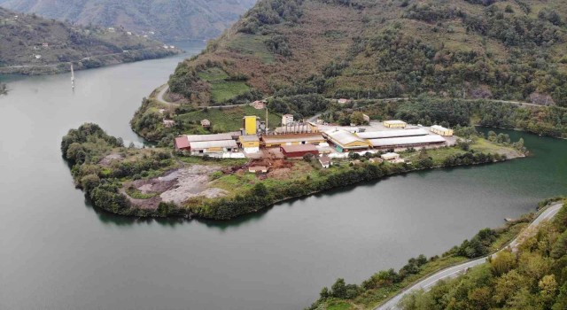 Artvinde etrafı sularla çevrili çay fabrikası ilgi çekiyor