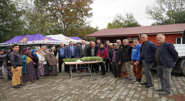 Atakumdan üreticiye 40 bin adet sebze fidesi