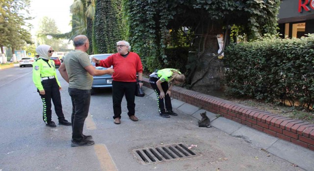 Ayağı kırılan kediyi, kadın trafikçilerin dikkati kurtardı