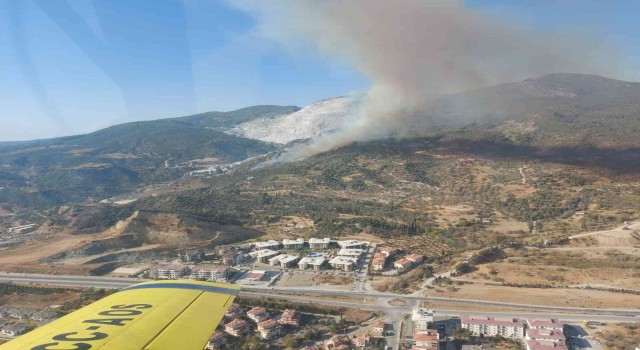 Aydında makilik ve zirai alanda yangın