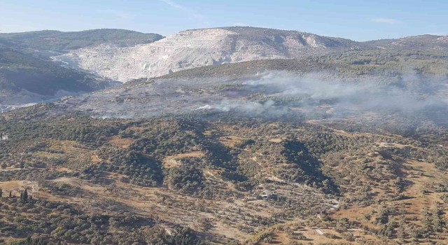 Aydında makilik ve zirai alandaki yangın kontrol altına alındı