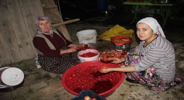 Aydında nar ekşisi telaşı başladı